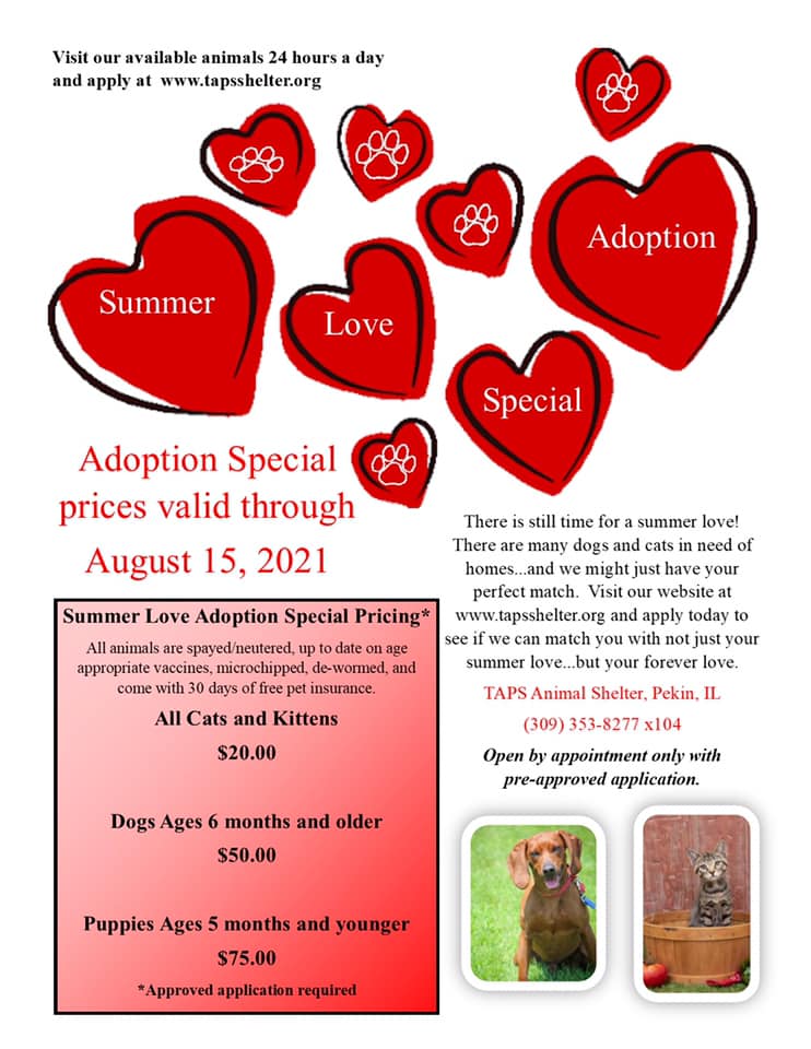 Summer Love Adoption Event!